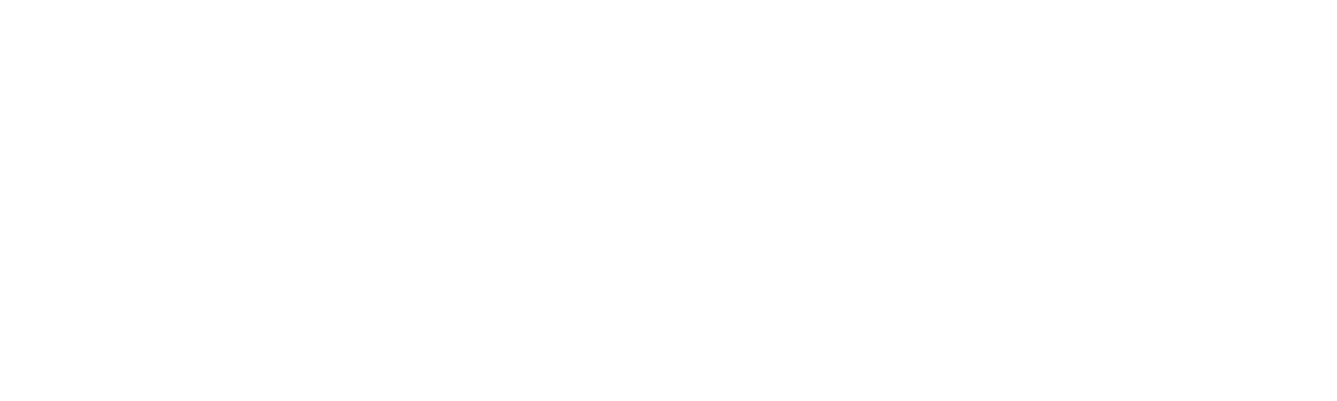 Metiscope Logo